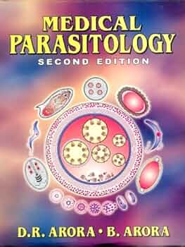 51Mc+FramtL._AC_UF350,